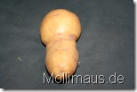 Mollimaus.de